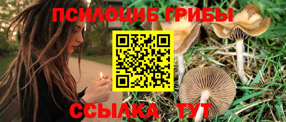 Галлюциногенные грибы GOLDEN TEACHER Канаш