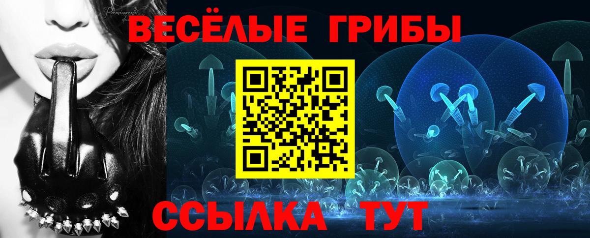 Псилоцибиновые грибы Psilocybine cubensis  Вход с VPN  Канаш 