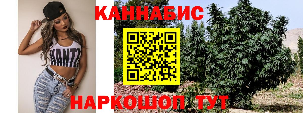 Шишки марихуана Bruce Banner  МАРИХУАНА Bruce Banner  Марихуана VHQ  Вход с VPN  Канаш 